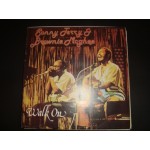 Sonny Terry &Brownie Mcghee - Walk On