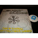 Sugar Cubes - here today tomorrow next week