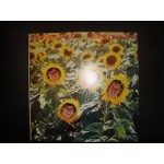 Sunnyboys - Individuals