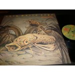 Thin White Rope - Bottom Feeders