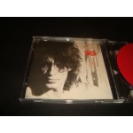 Waterboys - A Pagan Place