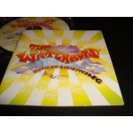 Waterboys - Book of Lightning
