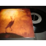 Waterboys - The Return of pan
